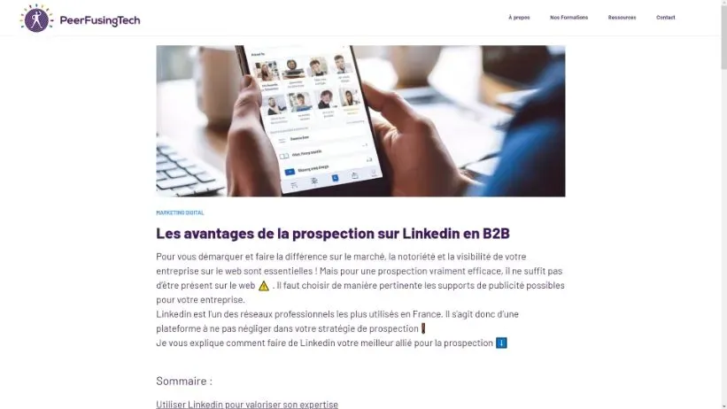 PeerFusingTech, visuel 2